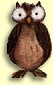 Big Eyed Owl