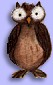 Big Eyed Owl