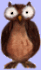 Big Eyed Owl