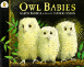 Owl Babies - click to check price or order from Amazon.co.uk