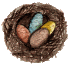 Chocolate nest cakes