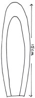 Ear